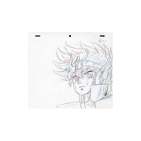 Les Chevaliers du zodiaque