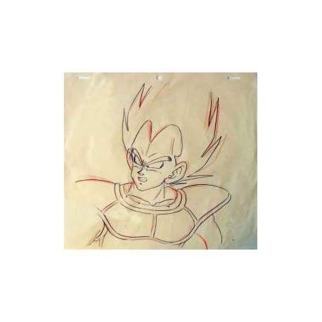 Vegeta Dragon Ball Z