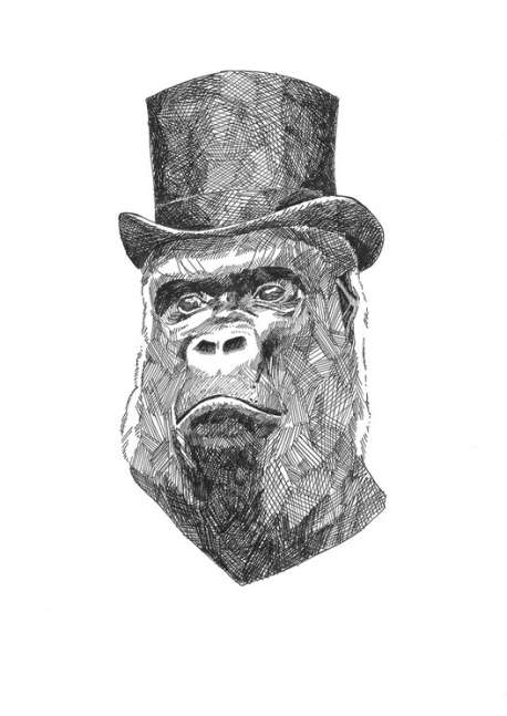 Gorille, Guillaume Piot