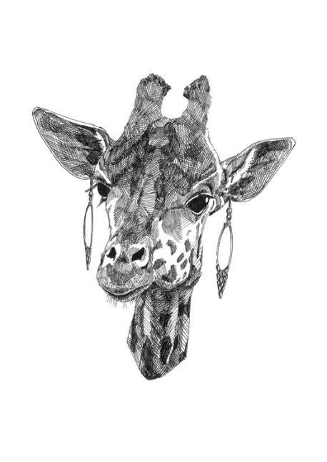 Girafe, Guillaume Piot