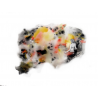 Aquarelle graphique 7